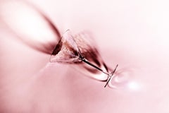 Glas, Stillleben-Fotografie aus rosa Glas, limitierte Auflage von 20 Stück