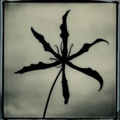 Photographie noir et blanc