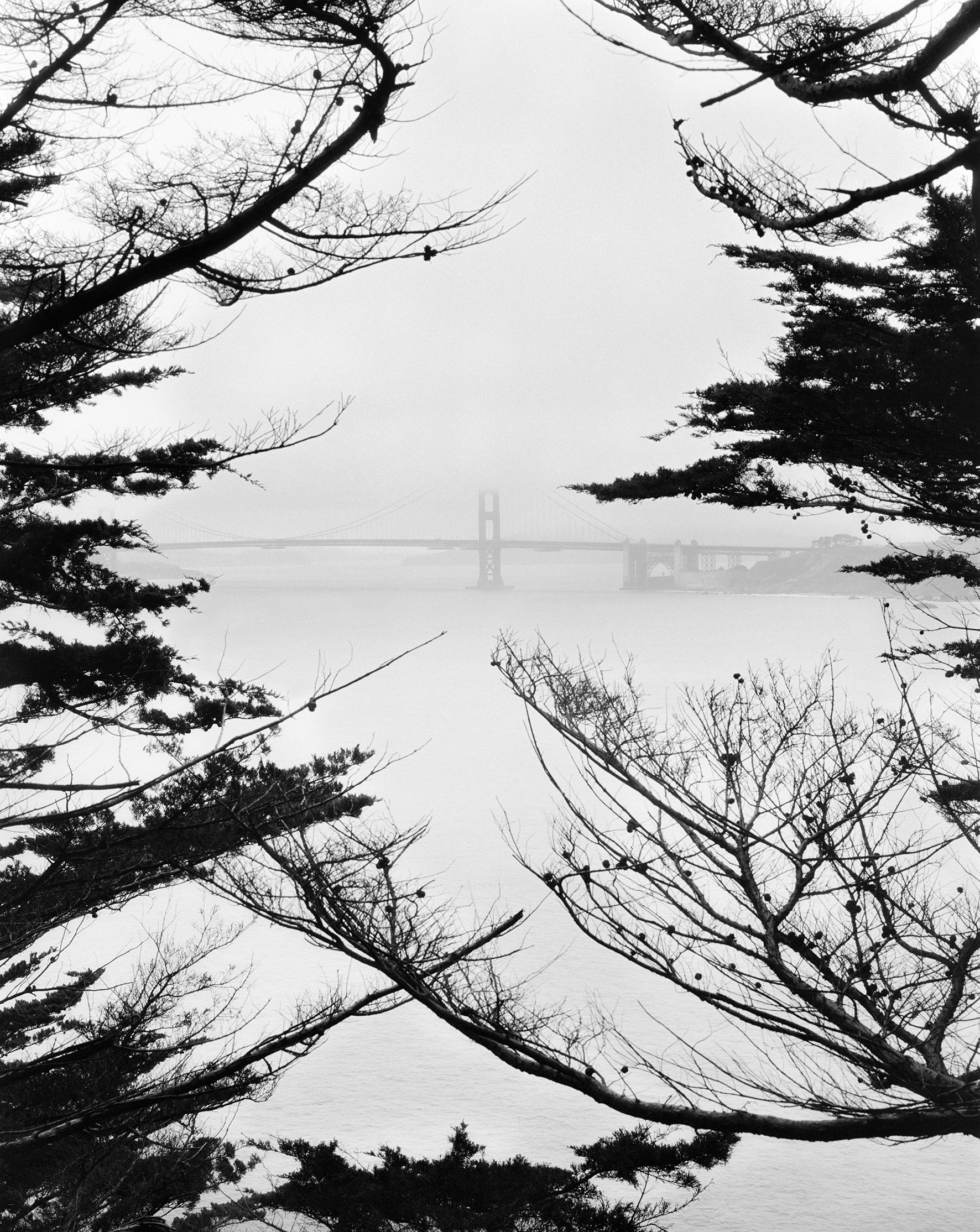 Ugne Pouwell Landscape Photograph – Golden Gate Bridge Lands End – Schwarz-Weiß-Landschaftsfotografie  