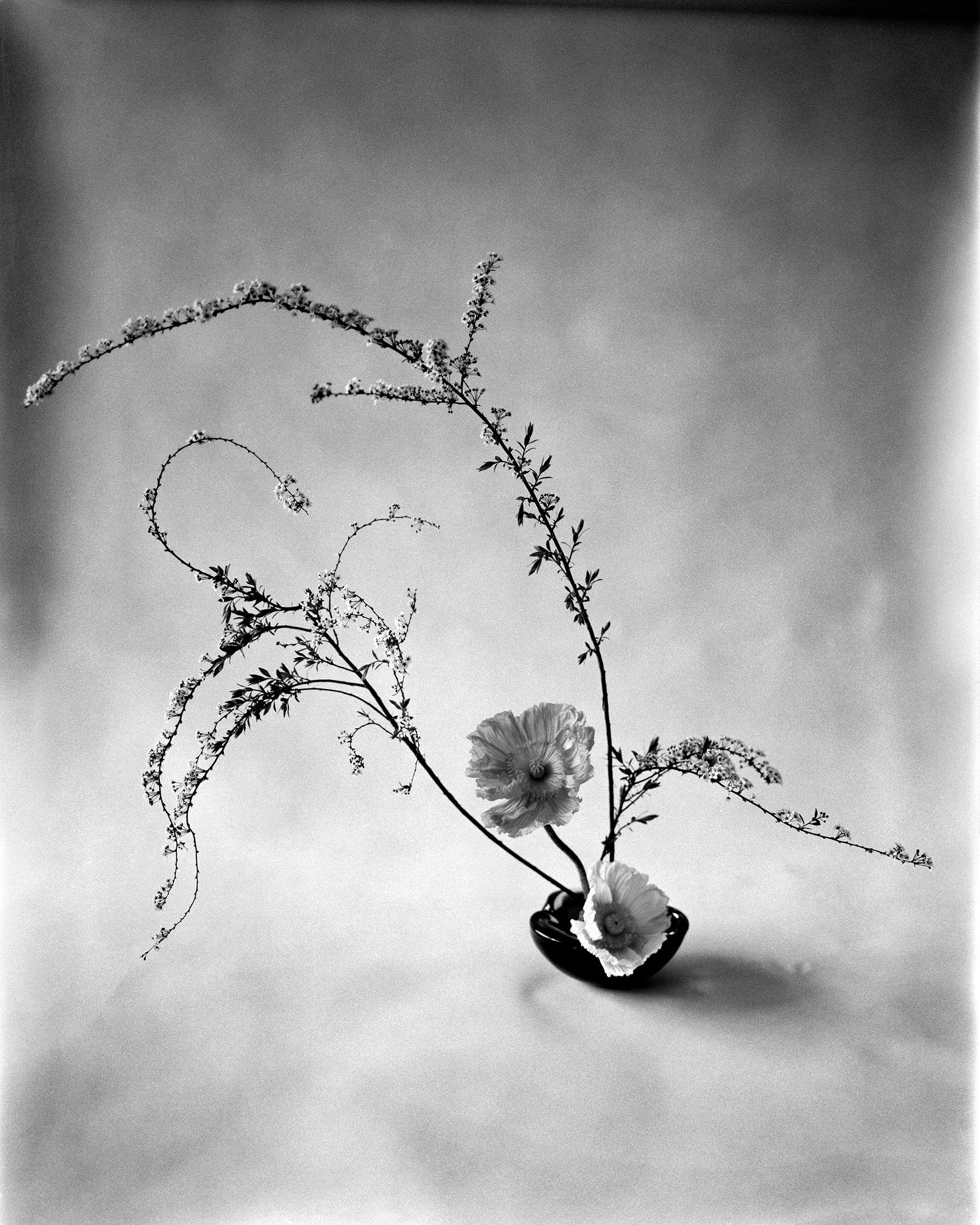 Ugne Pouwell Still-Life Photograph – Ikebana – schwarzes und weißes Blumenarrangement, limitierte Auflage von 10 Stück