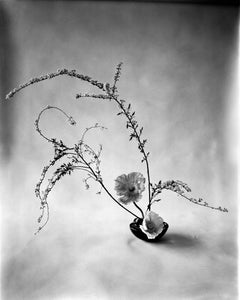 Ikebana – schwarzes und weißes Blumenarrangement, limitierte Auflage von 10 Stück