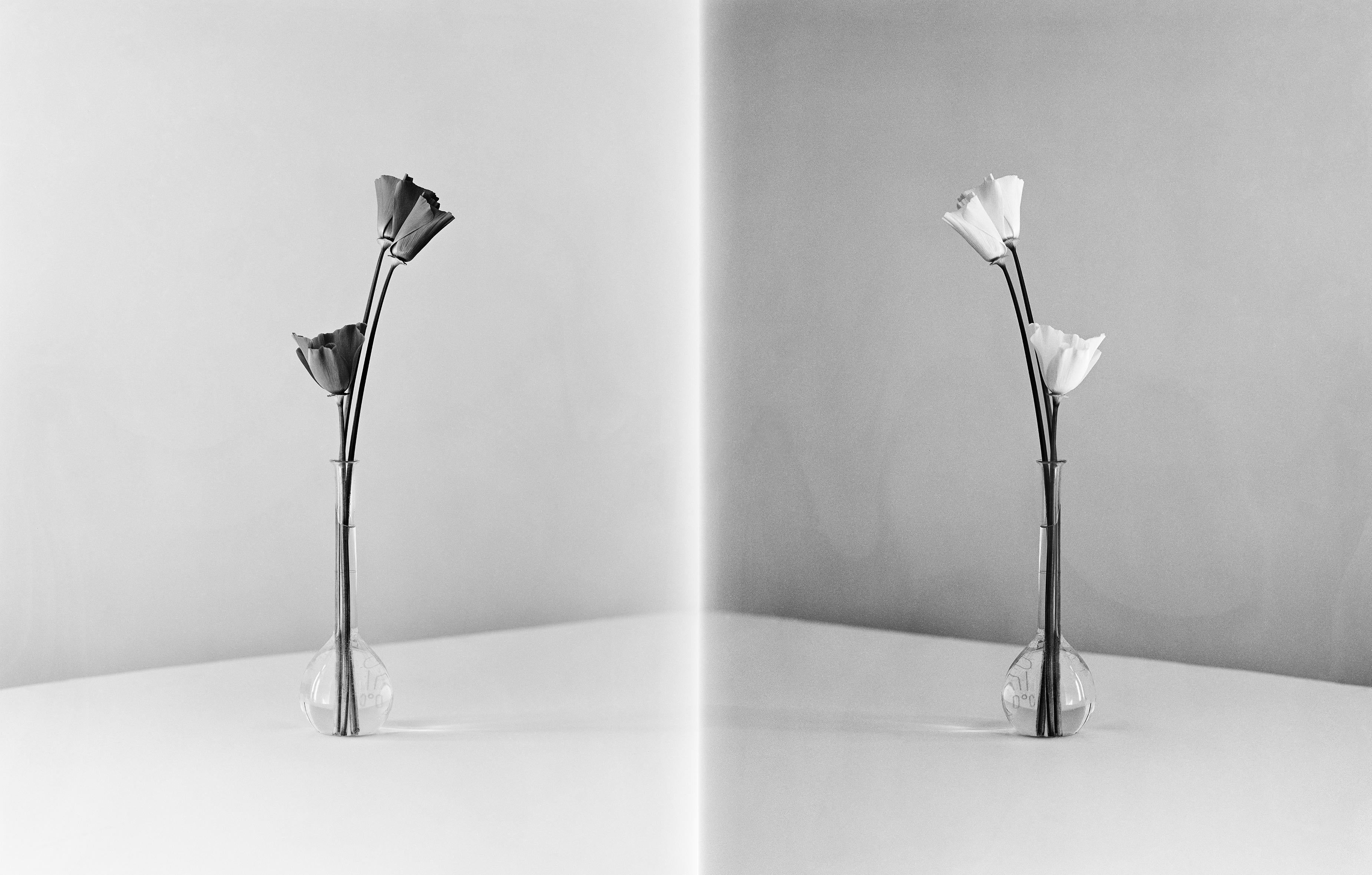 Ugne Pouwell Black and White Photograph - In Parallel - couple black and white poppies in vase, Limited edition of 20