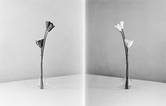 In Parallel - couple black and white poppies in vase, Limited edition of 20