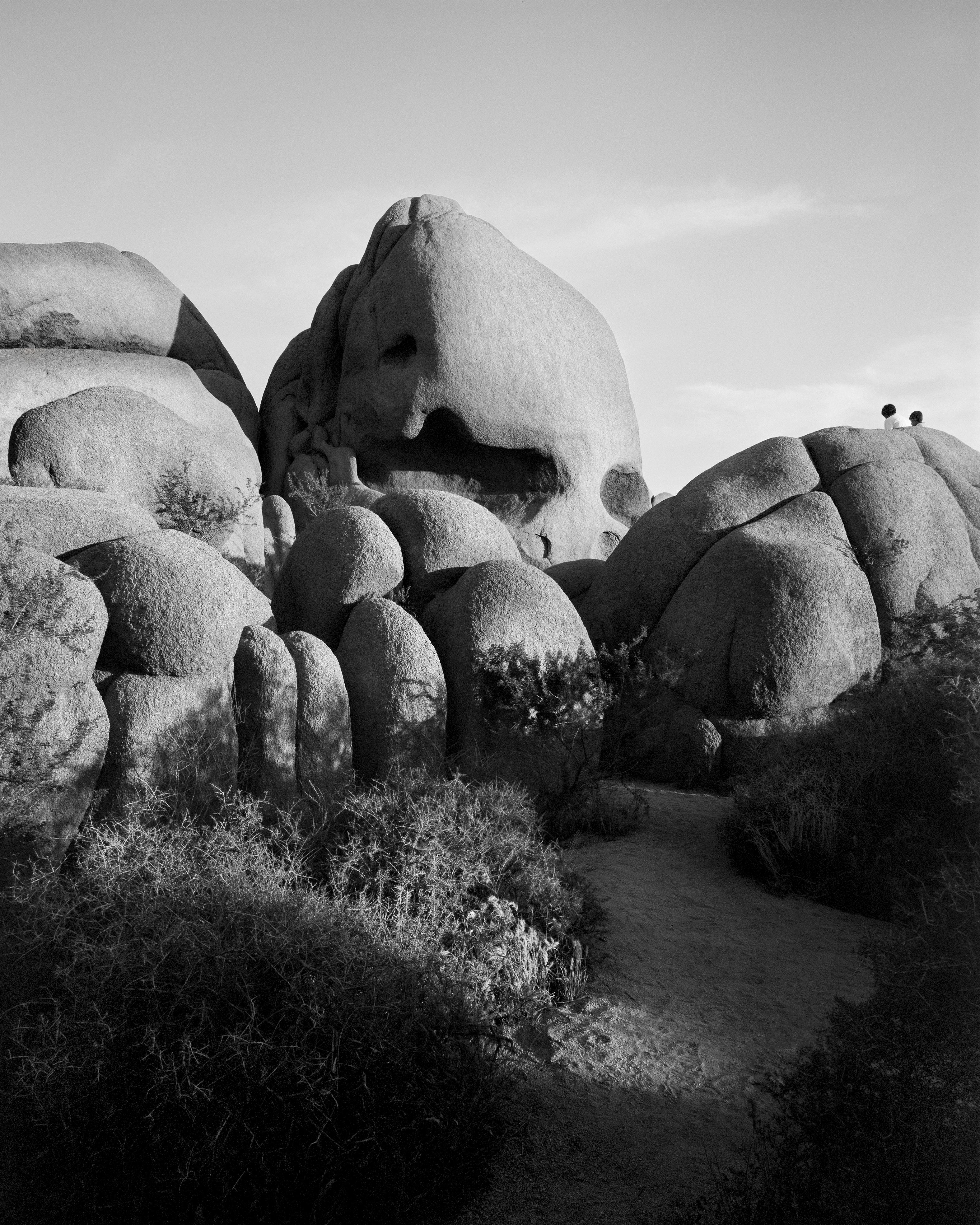 Ugne Pouwell Black and White Photograph - Jumbo Rocks Skull - analogue black and white desert rocks 