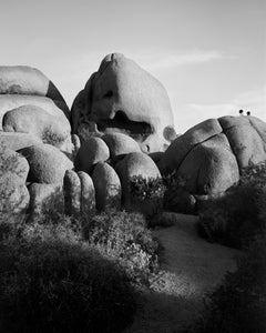 Used Jumbo Rocks Skull - analogue black and white desert rocks 