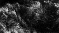 Kopa - Photographie de paysage en noir et blanc des dunes de la Baltique, édition limitée à 10 exemplaires