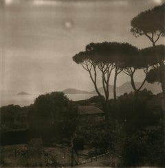 Polaroid Landscape Photography