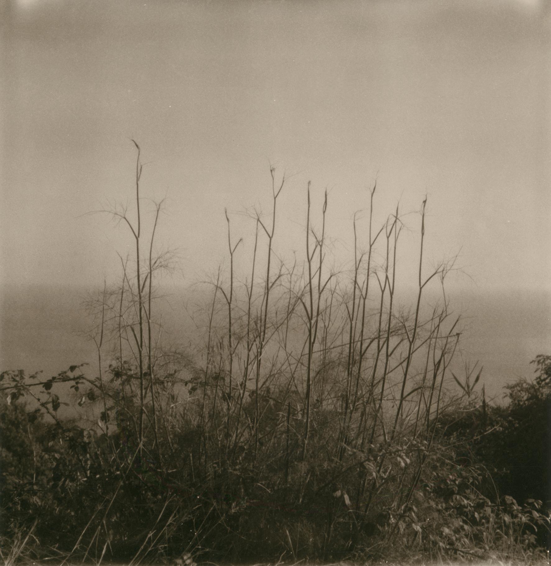 Lerici 257 - Photographie polaroïd de paysage côtier, édition limitée à 20 exemplaires