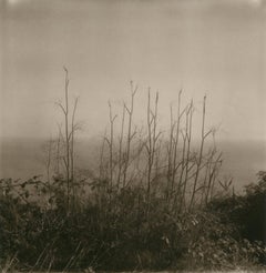 Polaroid Black and White Photography