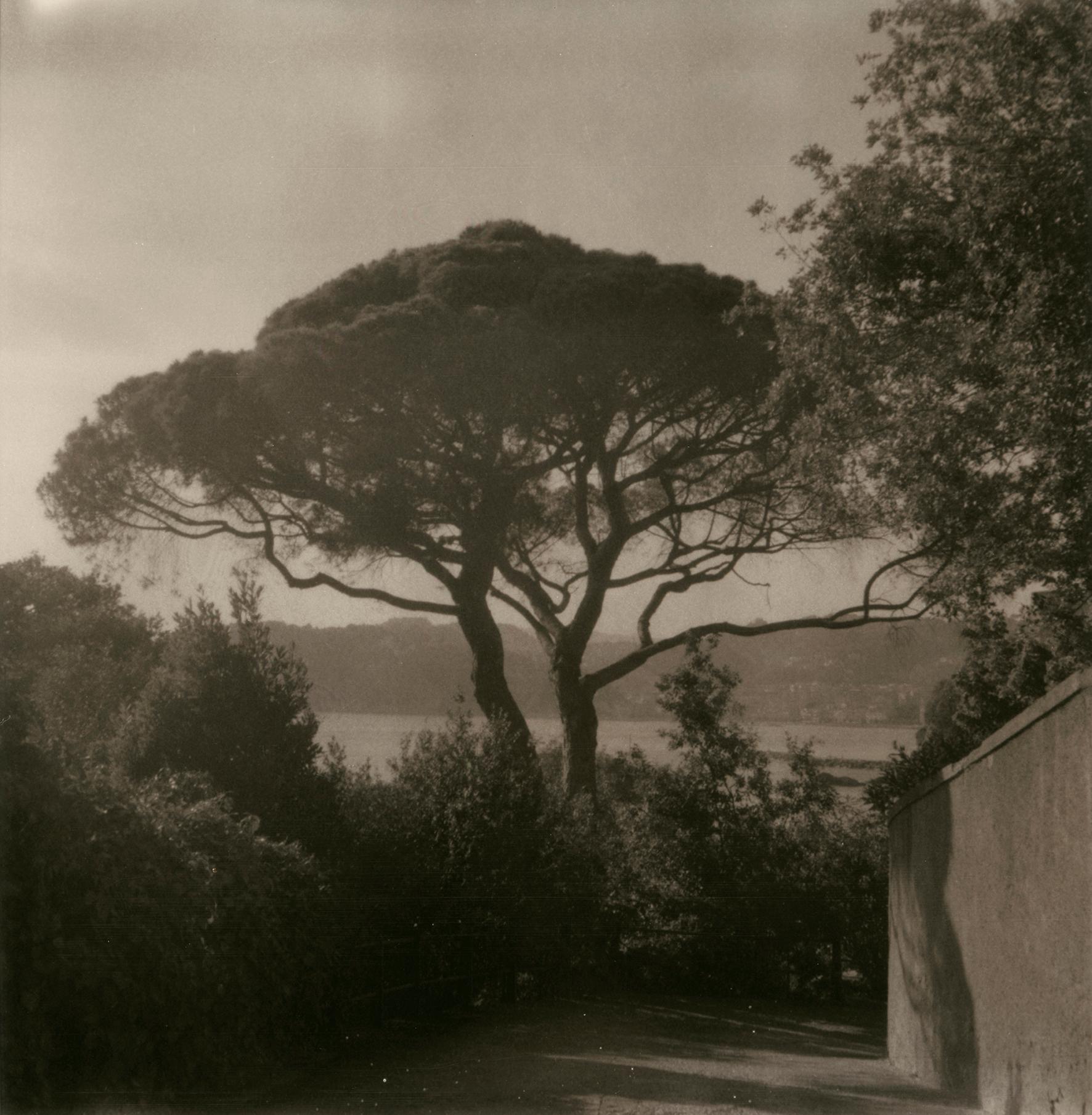 Lerici 258 - Polaroid Coastal Landscape Photograph, Limited Edition 10
