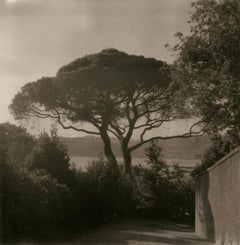 Landscape Photography
