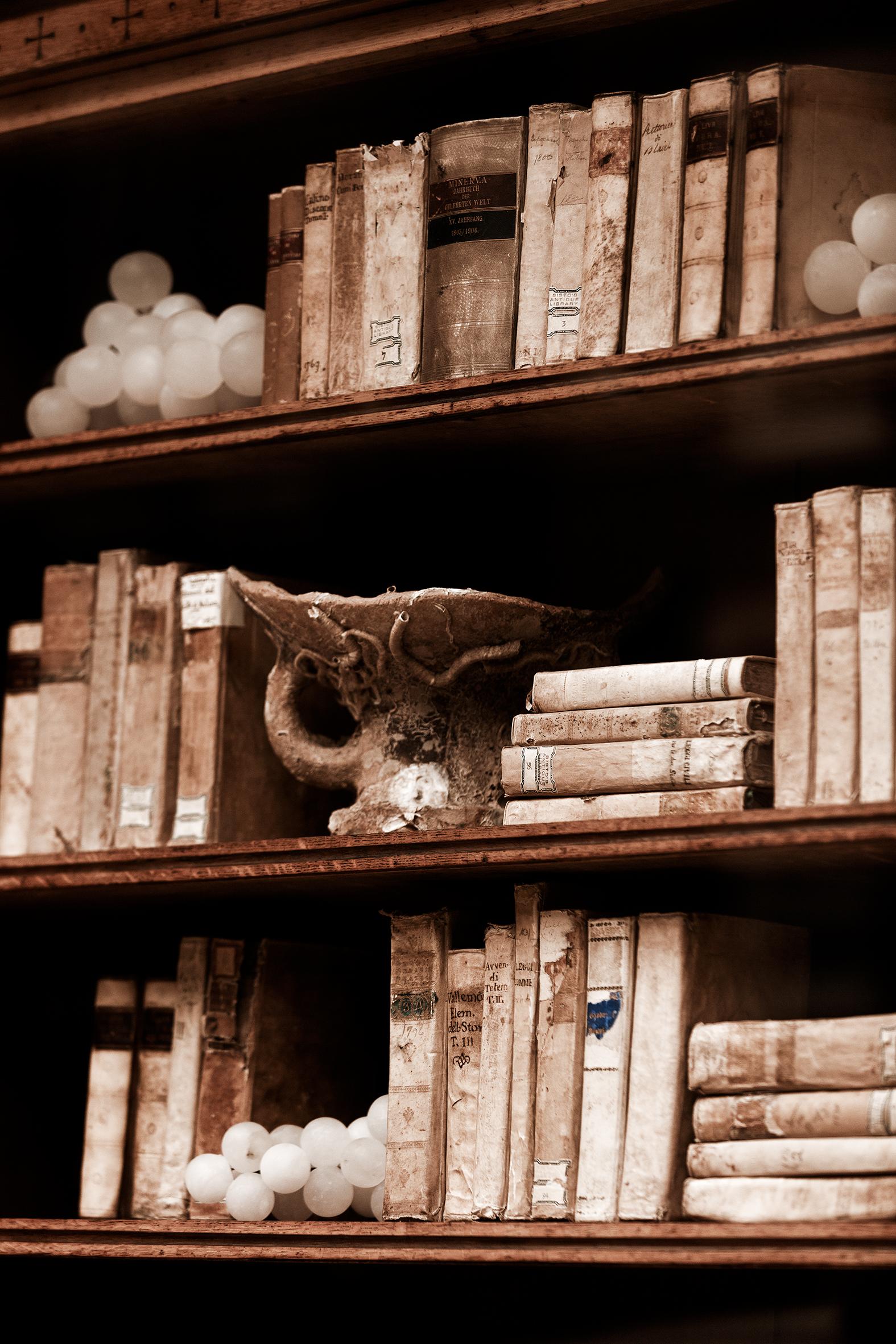 Ugne Pouwell Still-Life Photograph - Library No.2 - old rustic library design, Limited edition of 20