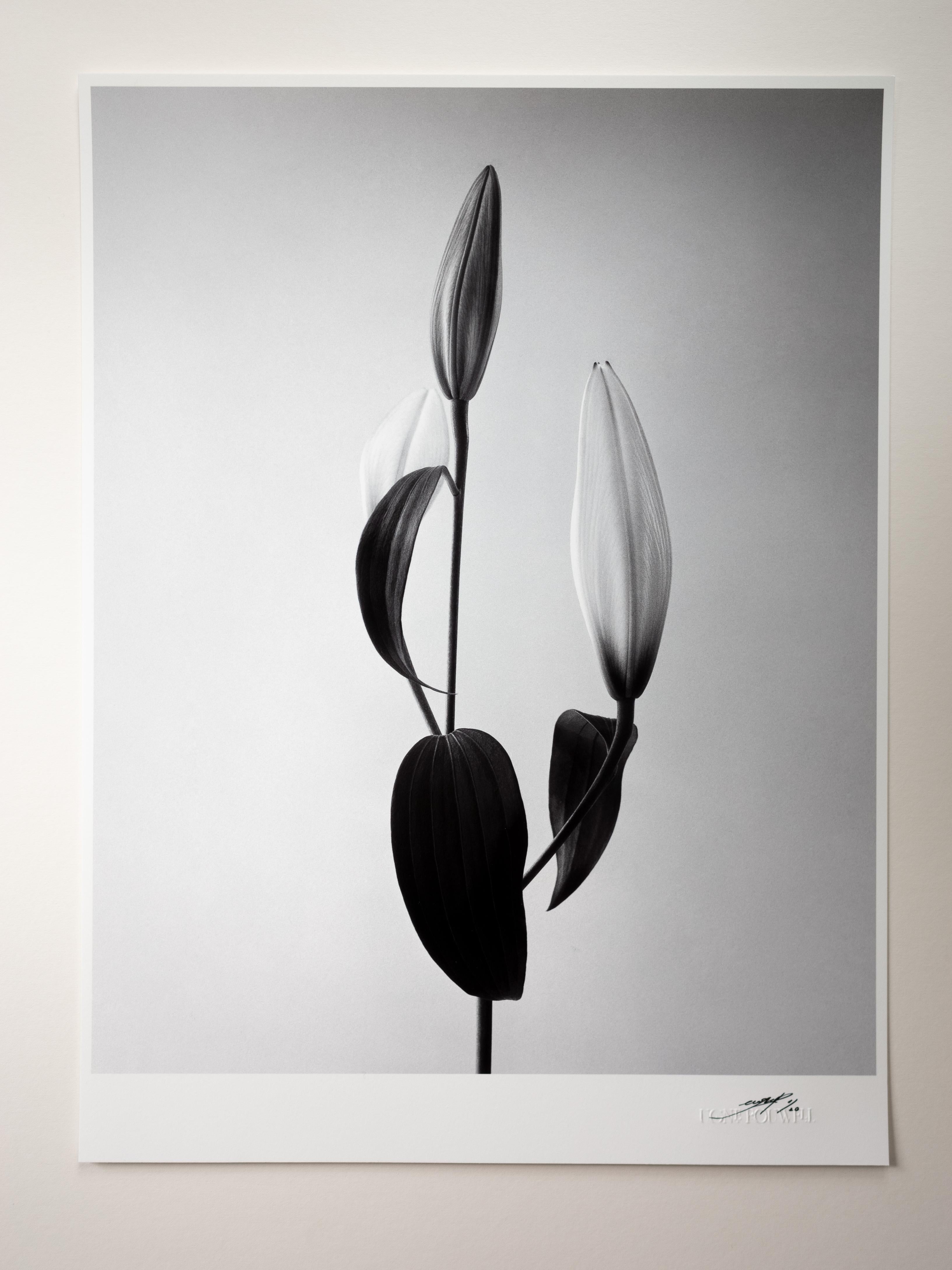 analoge Schwarz-Weiß-Blumenfotografie – Photograph von Ugne Pouwell