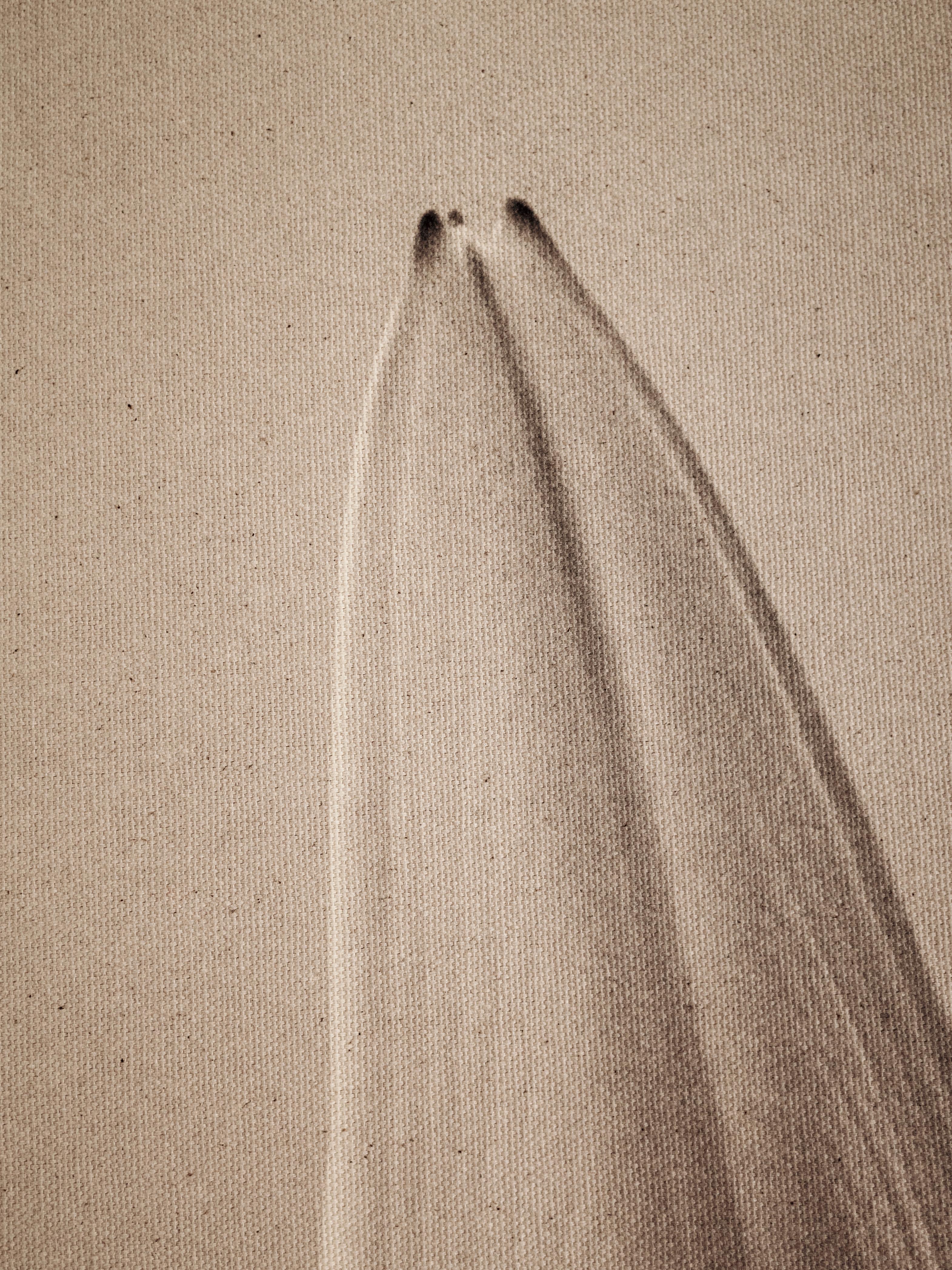 Lilly (Zeitgenössisch), Photograph, von Ugne Pouwell