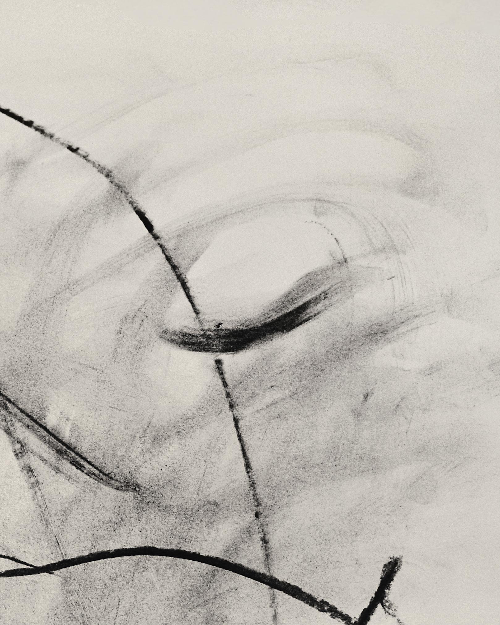 „Lily in Charcoal“ Abstrakte Expressionismus-Fotografie, Auflage von 10 Stück (Abstrakter Expressionismus), Photograph, von Ugne Pouwell