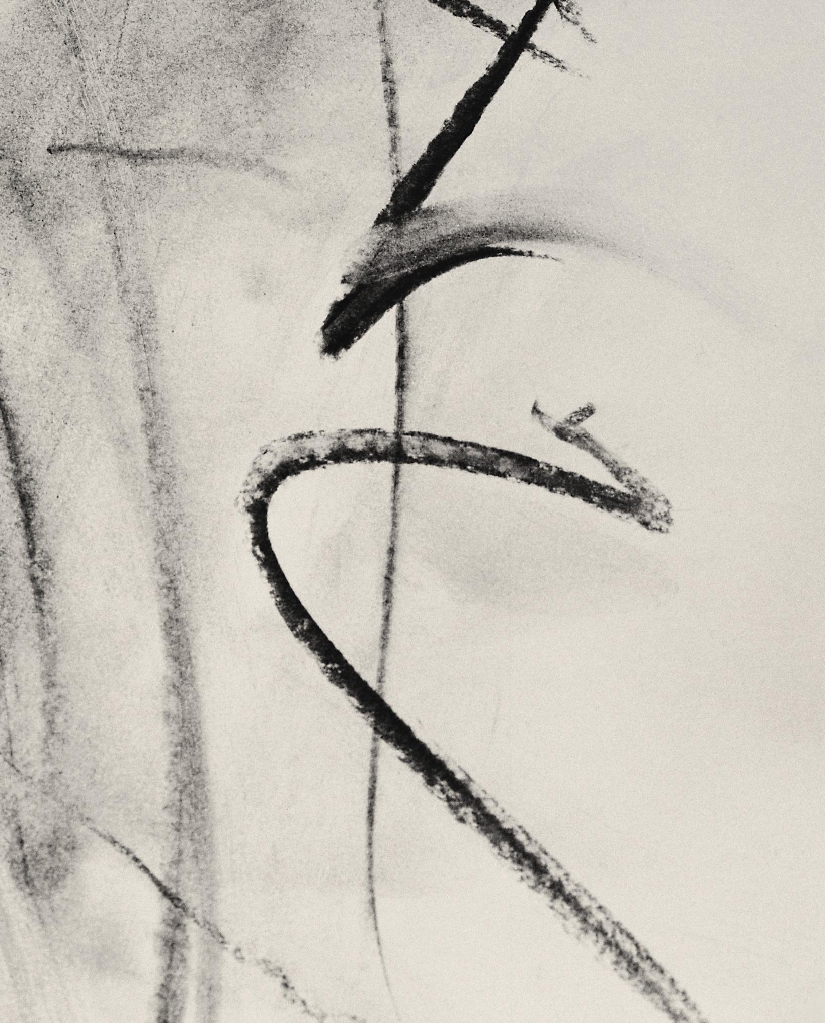 'Lily in Charcoal' 2023

From raw energy to sublime. 'Lily in Charcoal' is an expression piece combining an abstract charcoal drawing with a live lily emerging from a gash. The charcoal medium creates contrast and texture, while the abstract style