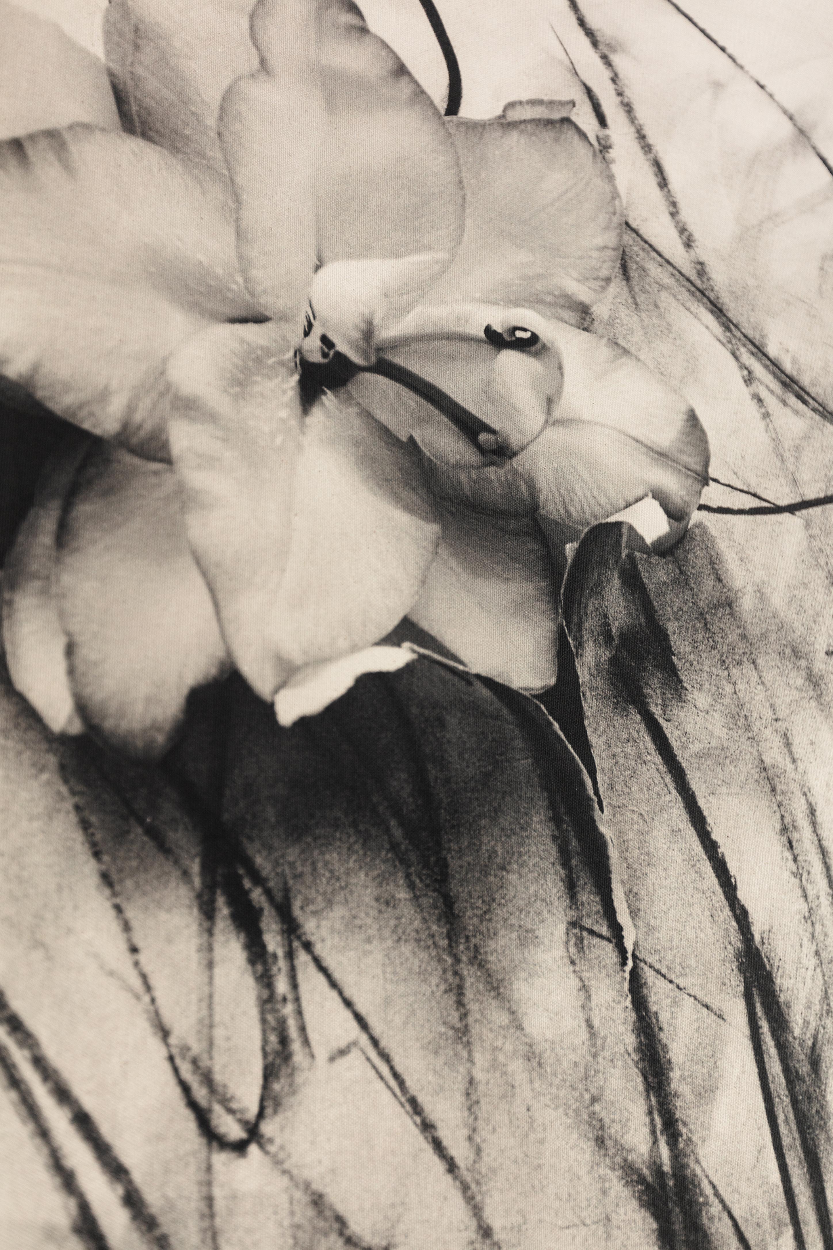 'Lily in Charcoal' abstract expressionism photography, limited edition 3 of 5 - Photograph by Ugne Pouwell
