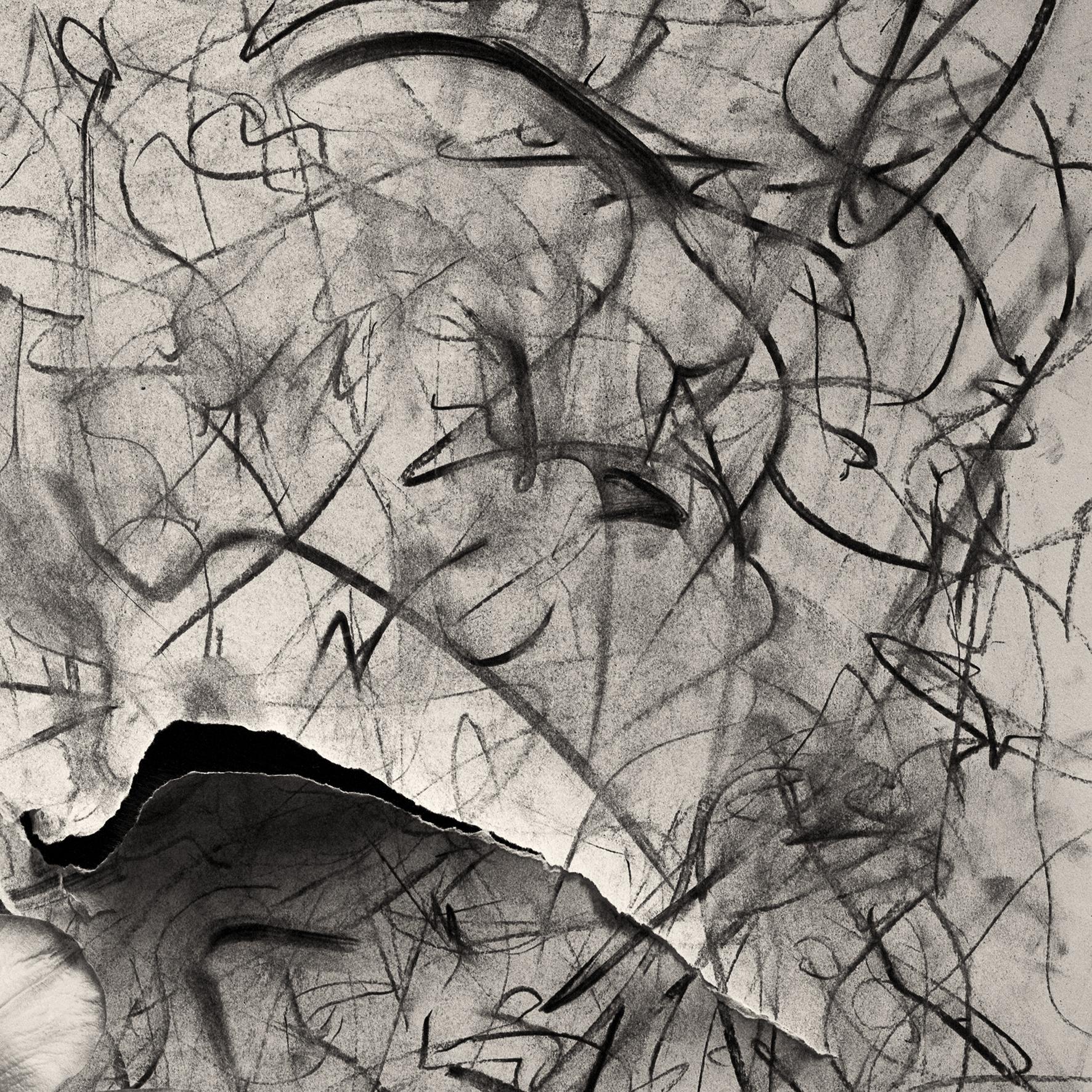 'Lily in Charcoal no.2' abstract expressionism photography edition of 10 For Sale 1