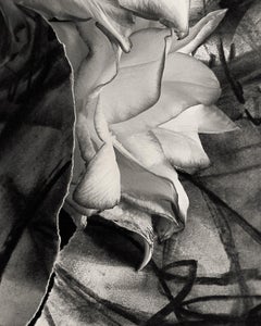 'Lily in Charcoal no.3' fotografia di espressionismo astratto in edizione di 10 esemplari