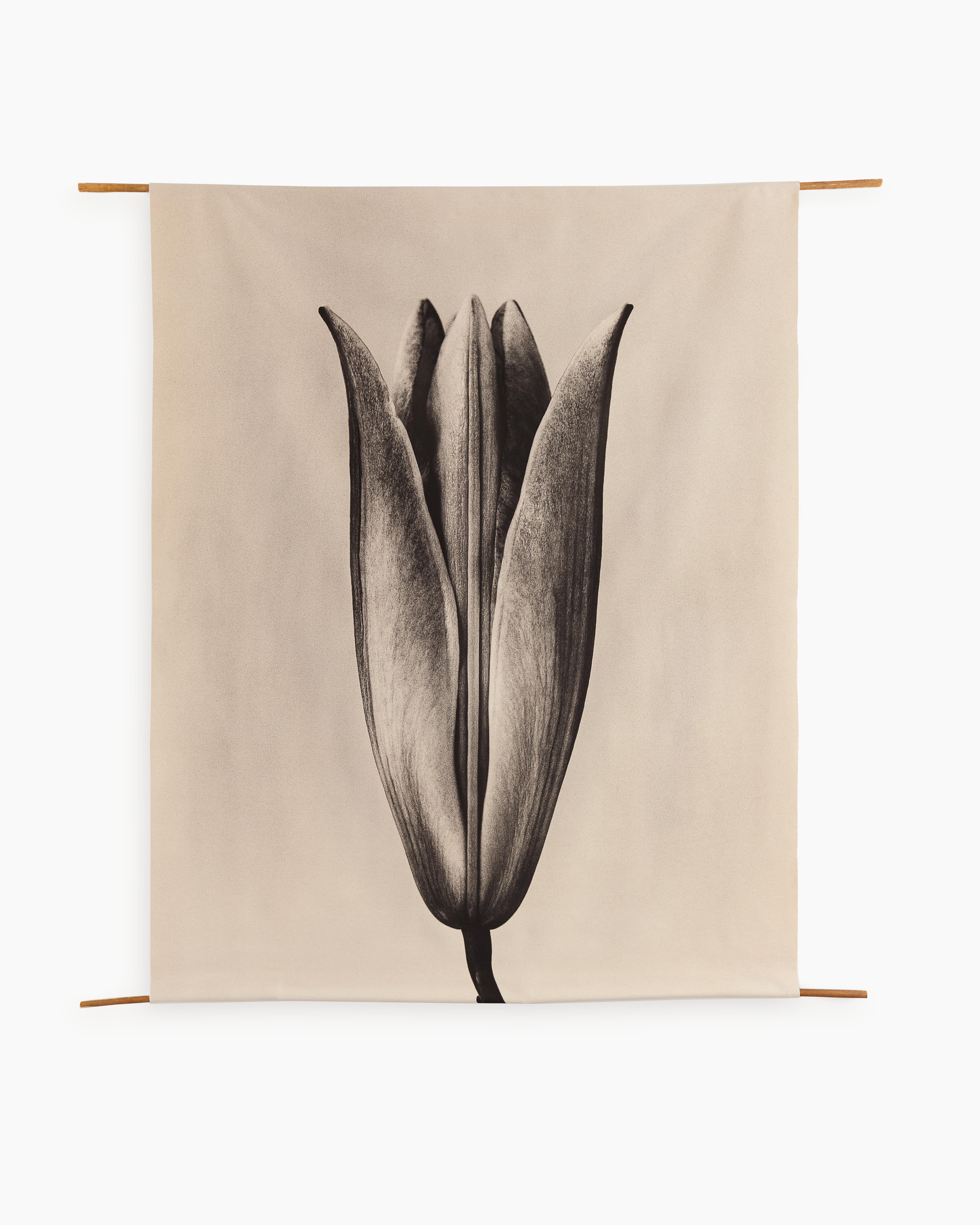 Ugne Pouwell Black and White Photograph – Lily '23 – Schnörkel aus organischer Baumwolle auf Bambus, limitierte Auflage 5 Stück