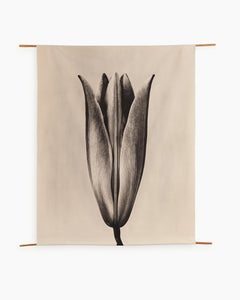Lily '23 - organic cotton canvas scroll on bamboo, limited edition 5