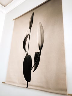 Lily - canvas scroll floral photography print, E.d. 3/5