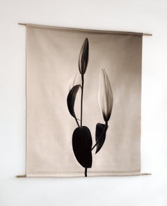 Lily - canvas scroll floral photography print, E.d. 3/5