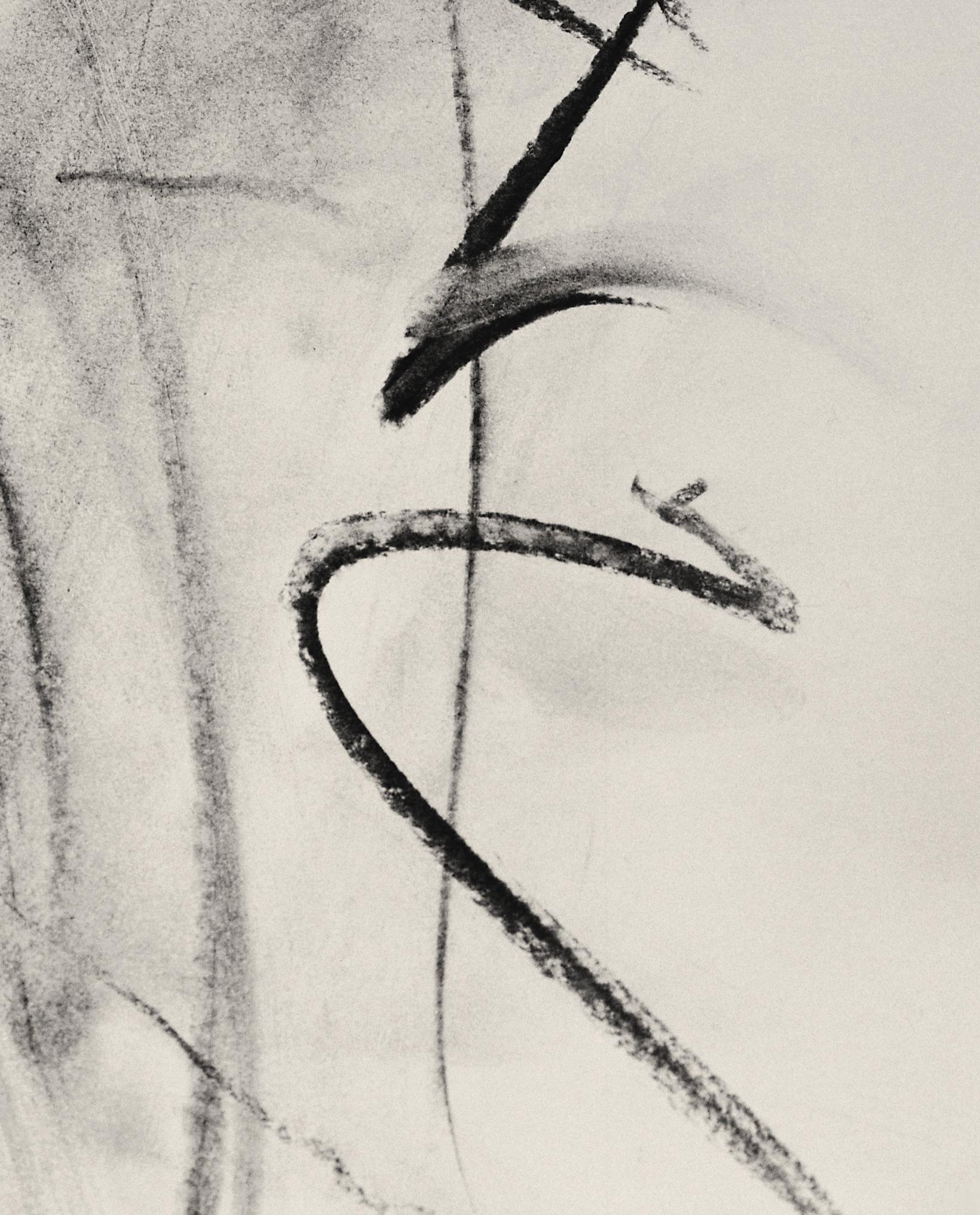 „Lily in Charcoal“ abstrakte expressionistische Fotografie, Auflage 4 von 20 (Grau), Still-Life Photograph, von Ugne Pouwell