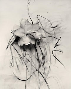 Eye drawing, black-white, charcoal Art Print by myartspace