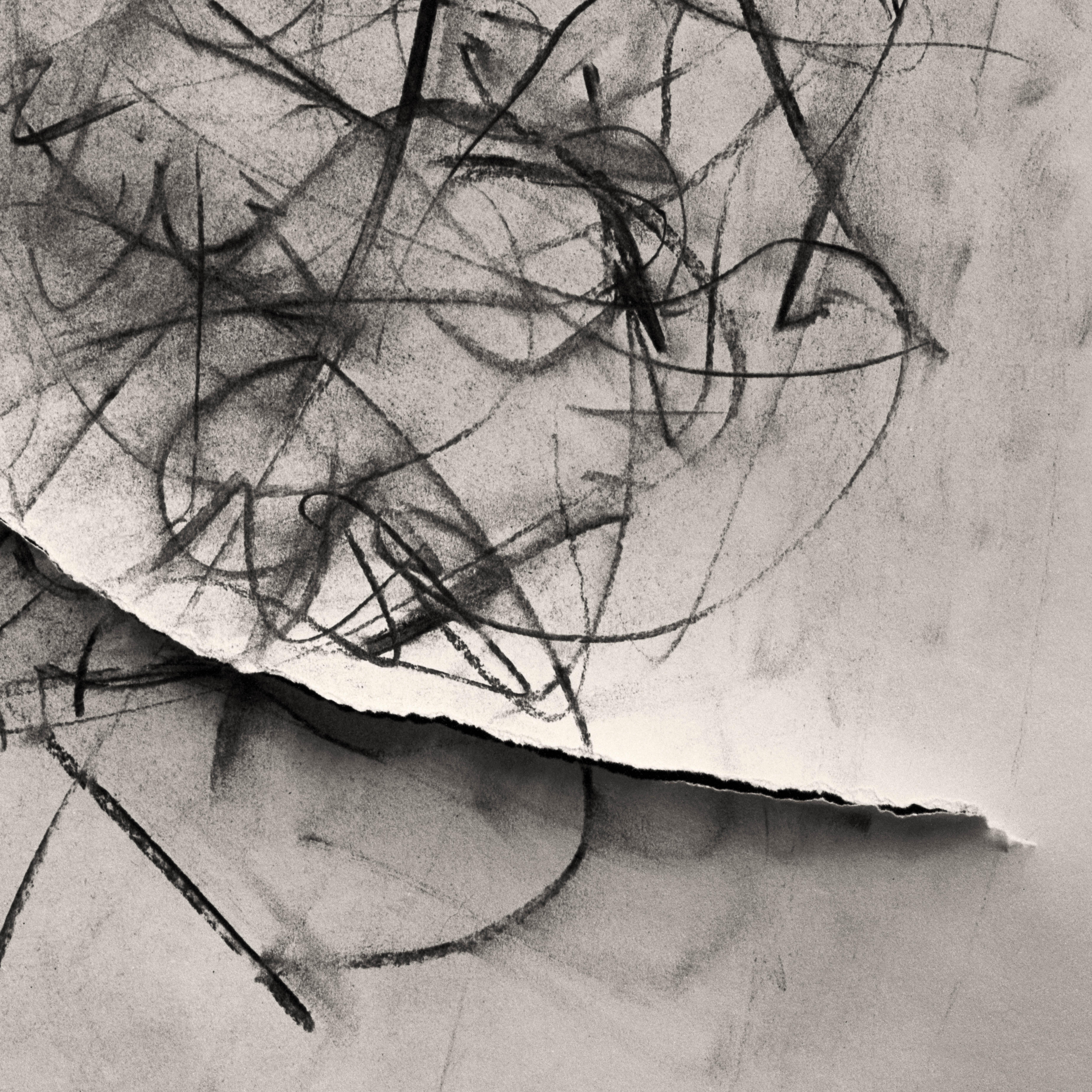 Lily in Charcoal No.2 - abstract expressionism photography edition of 10 - Abstract Expressionist Art by Ugne Pouwell