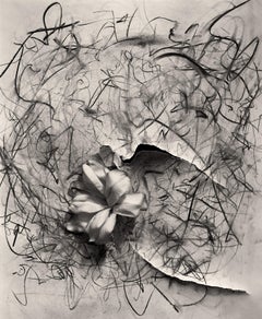 Lily in Charcoal n°2, photographie d'expressionnisme abstrait, édition de 10 exemplaires