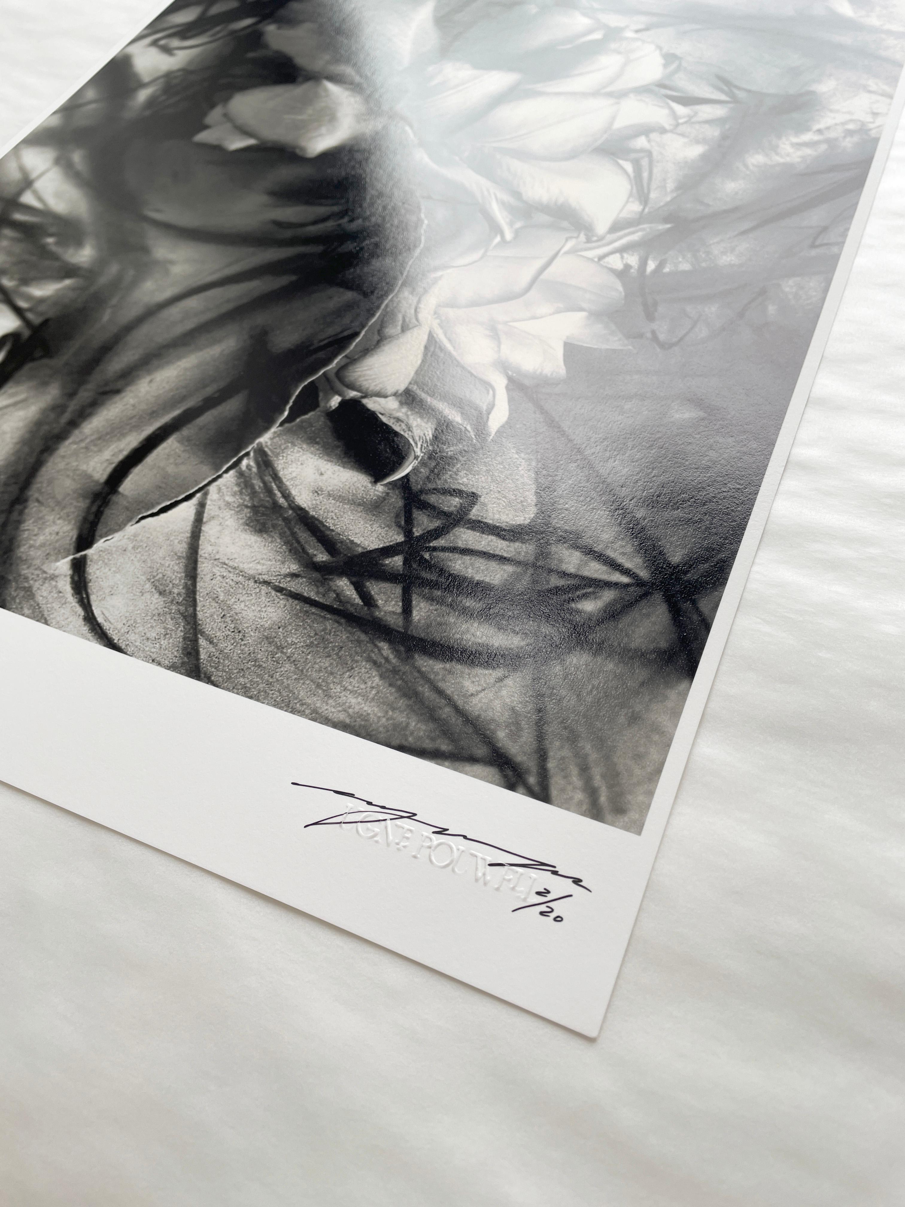 „Lily in Charcoal no.3“ abstrakte expressionistische Fotografie, Auflage 3 von 20 2
