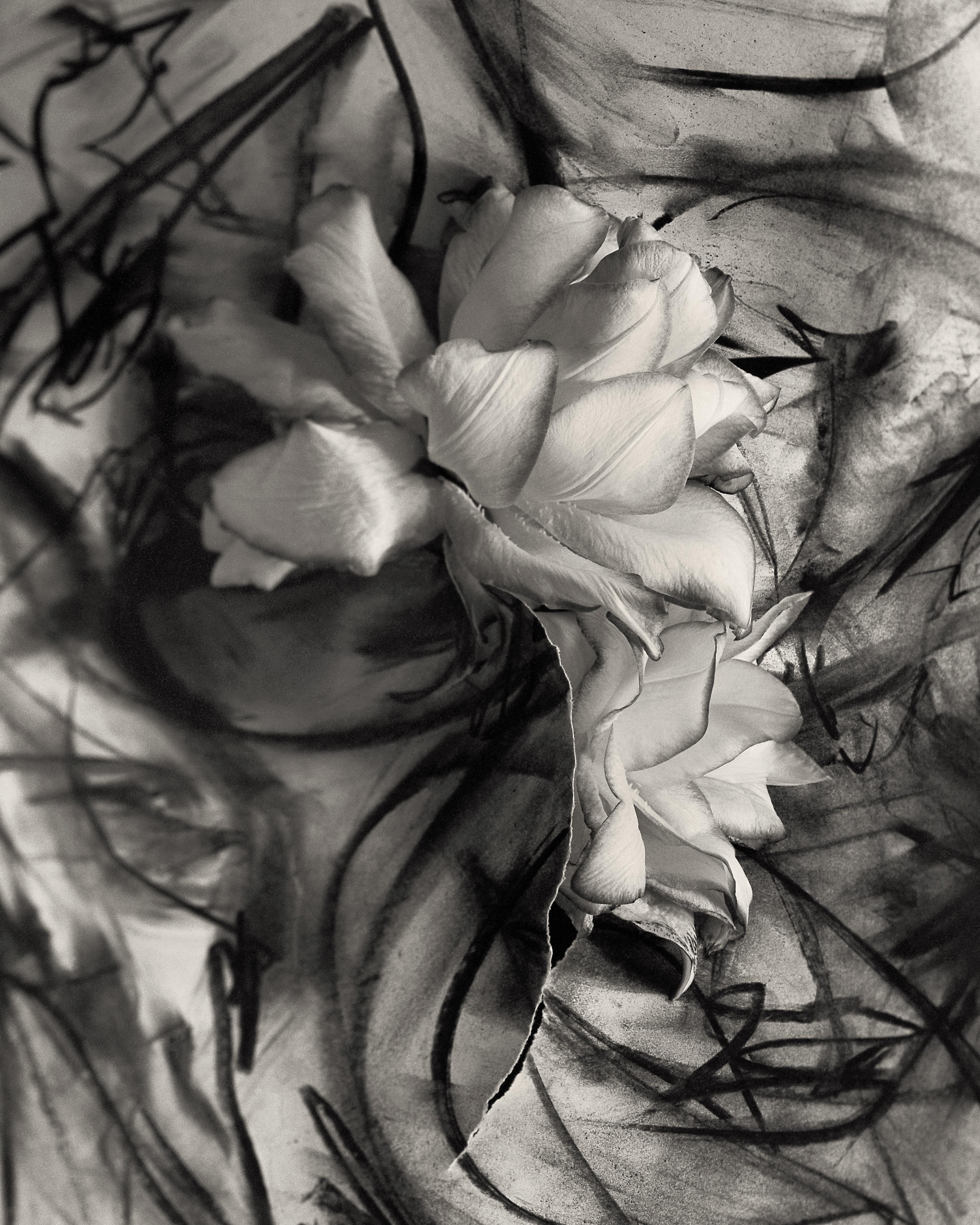 Ugne Pouwell Black and White Photograph – „Lily in Charcoal no.3“, abstrakte expressionistische Fotografie, Auflage von 10 Stück