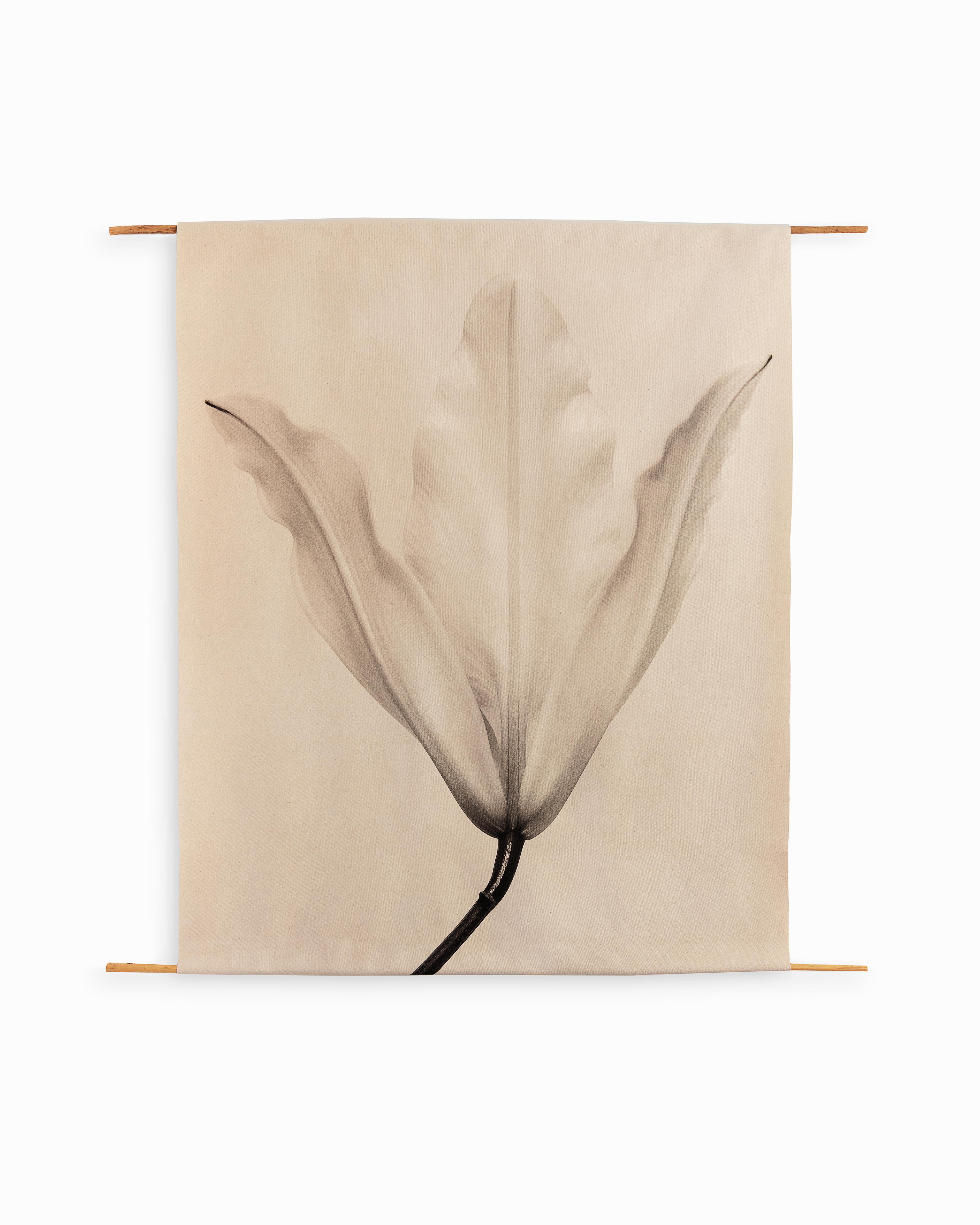 Ugne Pouwell Black and White Photograph - Lily No.3 - organic cotton canvas scroll on bamboo, limited edition of 5