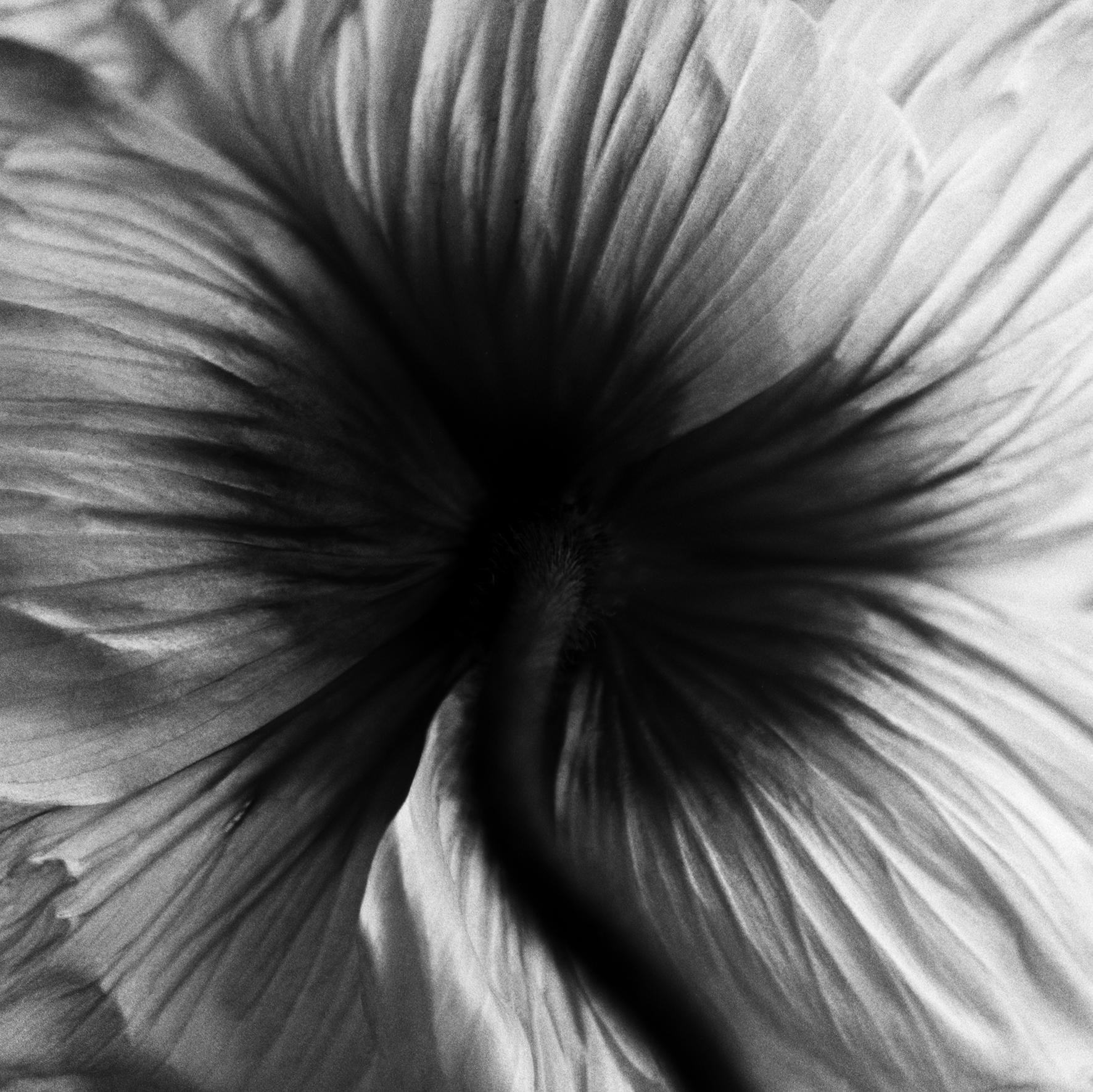 Large Photographie noir et blanc