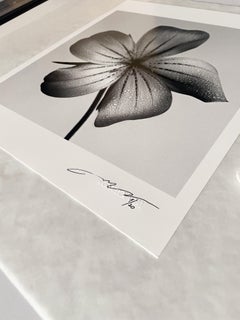 Ocean pearl - analogue black and white floral photography, Limited edition 2/20