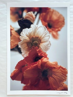 Orange Pflanzgefäße Nr.4 – Analogue Blumenfotografie, limitierte Auflage von 3 von 20 Stück