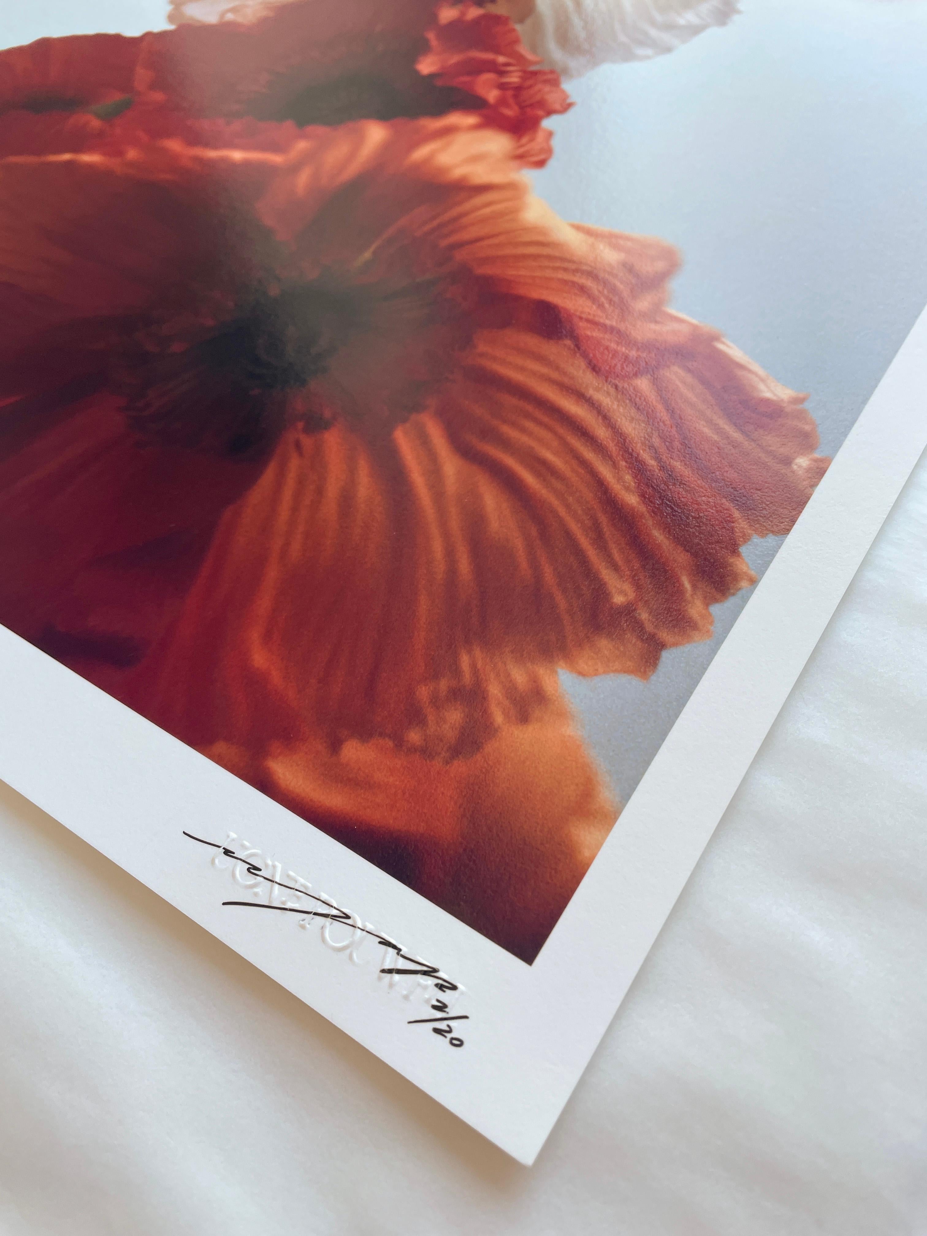 Papaveri arancioni n. 4

Fotografia floreale analogica a colori.

Londra, Regno Unito 2024.

Edizione limitata a 20 esemplari.

Stampate sulla migliore carta d'archivio Hahnemühle Photo Rag, queste fotografie in edizione limitata sono progettate per