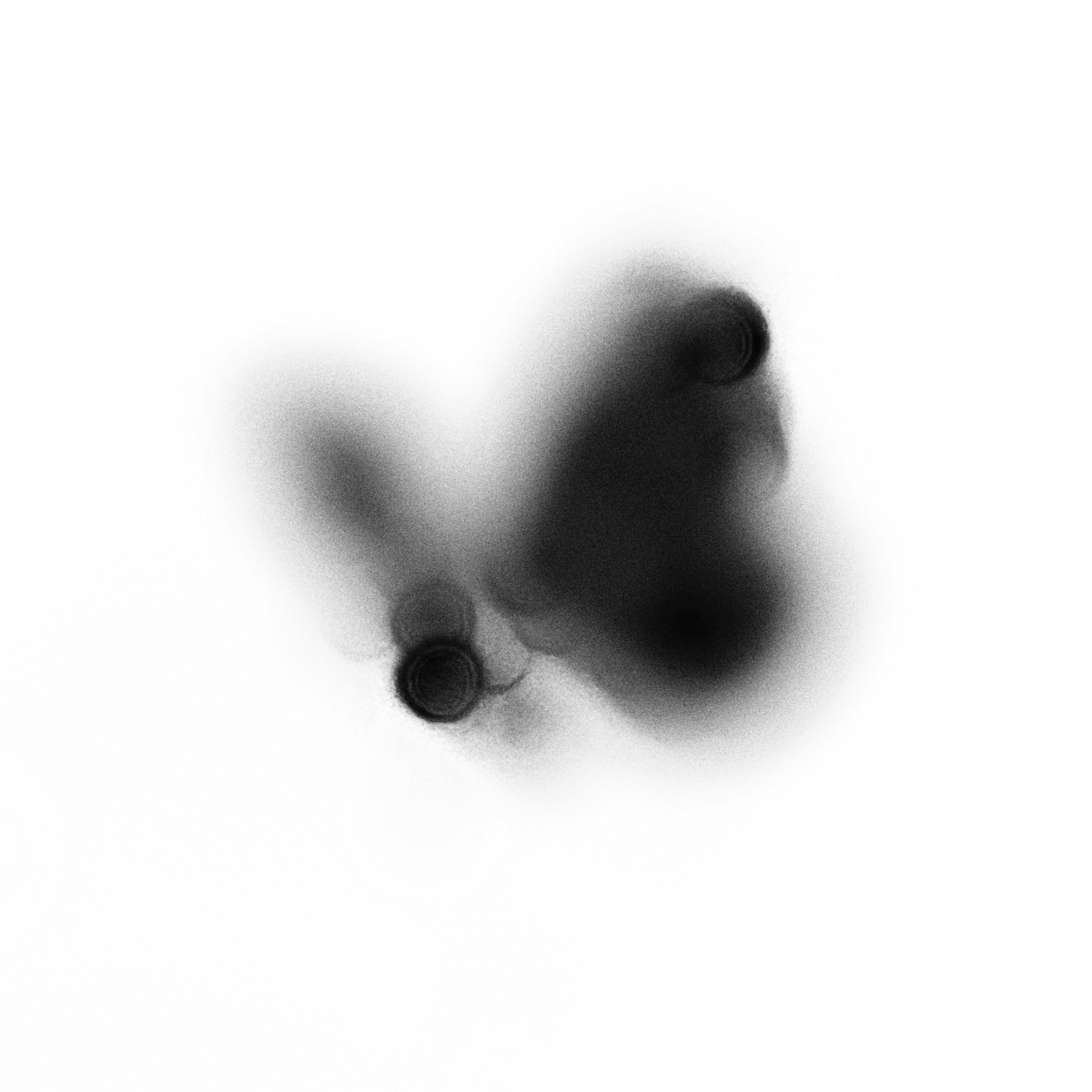 Ugne Pouwell Black and White Photograph – Oris – abstrakte Schwarz-Weiß-Schmetterlingsfotografie in limitierter Auflage von 20 Stück