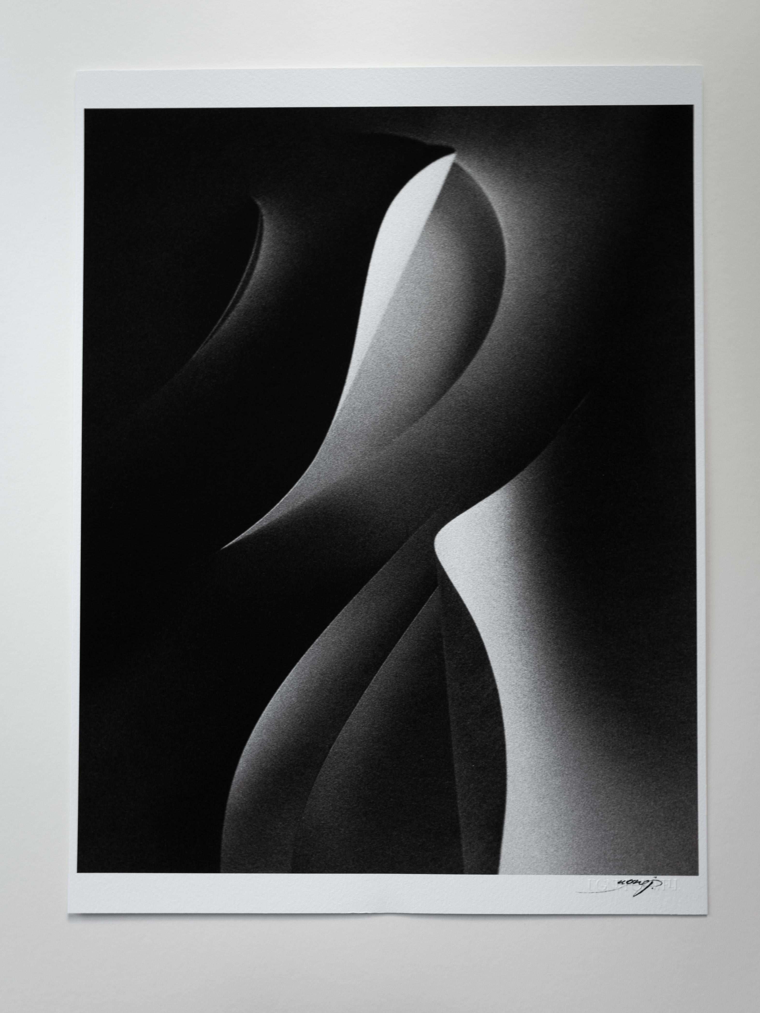 Paper cut - Abstract Photograph by Ugne Pouwell