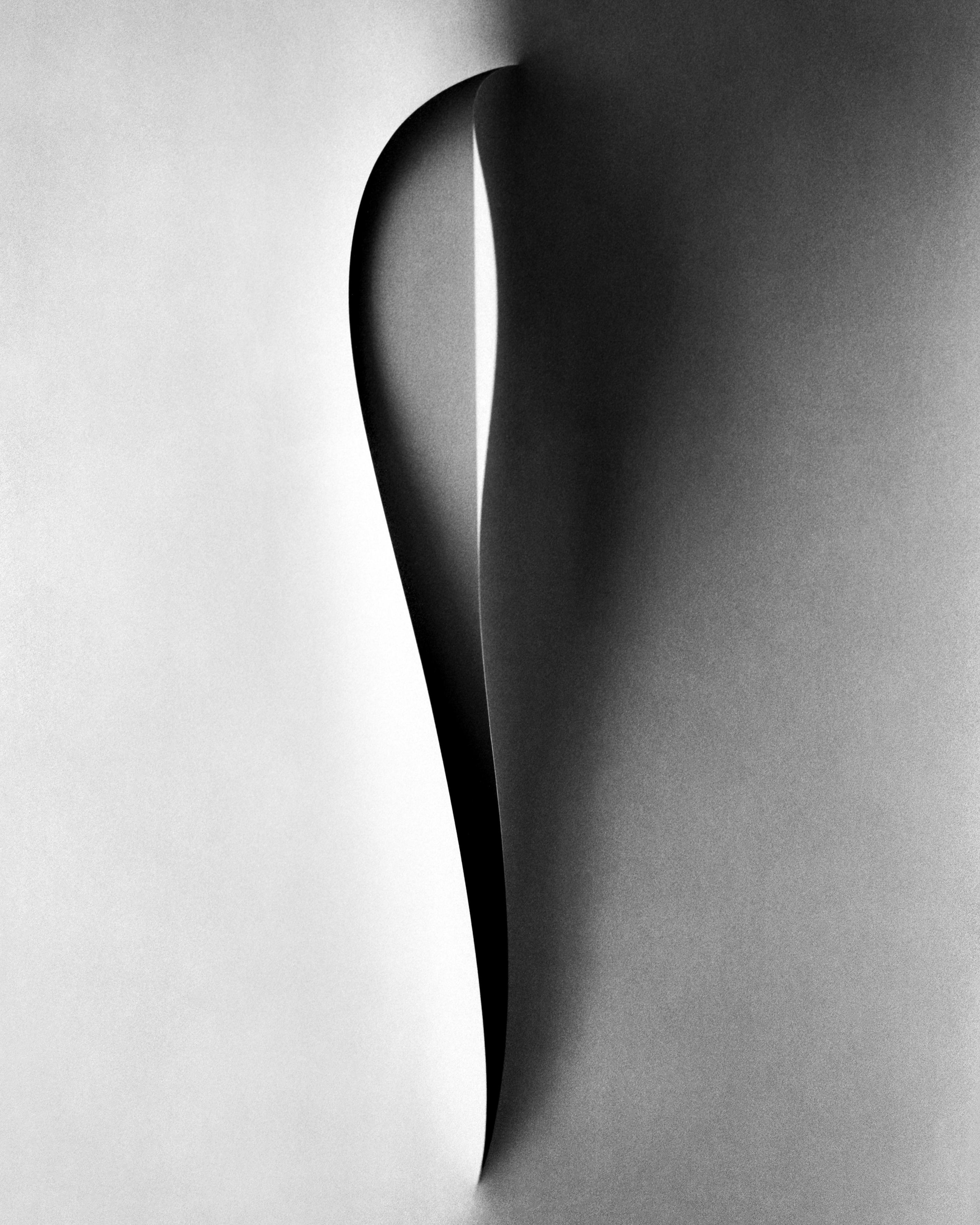 Papercut - analogue black and white still life photography, Limited 20