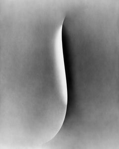 Papercut No.5- analoge Schwarz-Weiß-Stilllebenfotografie, limitiert auf 10 Stück