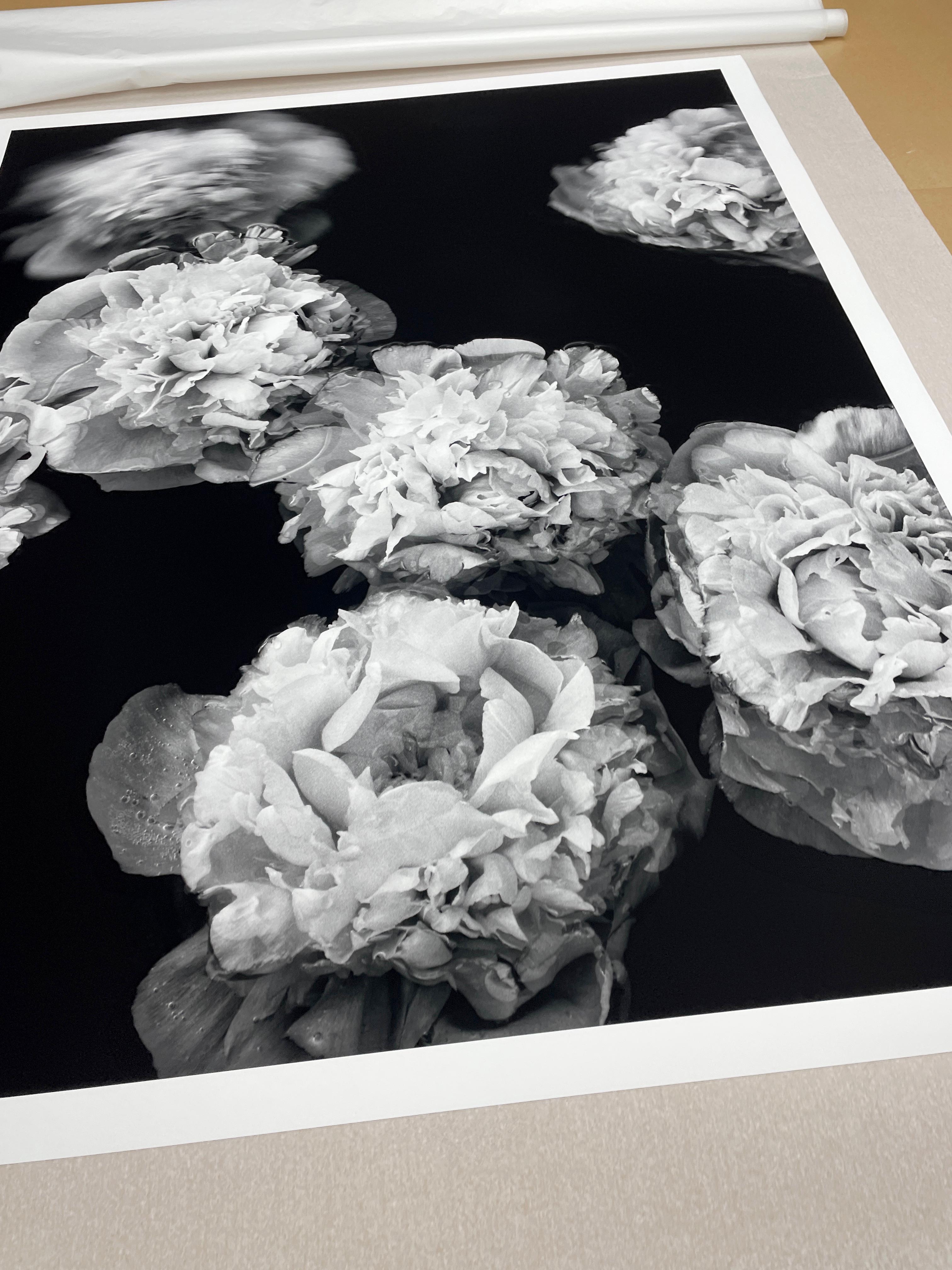 Pfingstrosen auf See - Blüten, Schwarz-Weiß-Fotografie, limitierte Auflage 2 von 5 Stück im Angebot 2