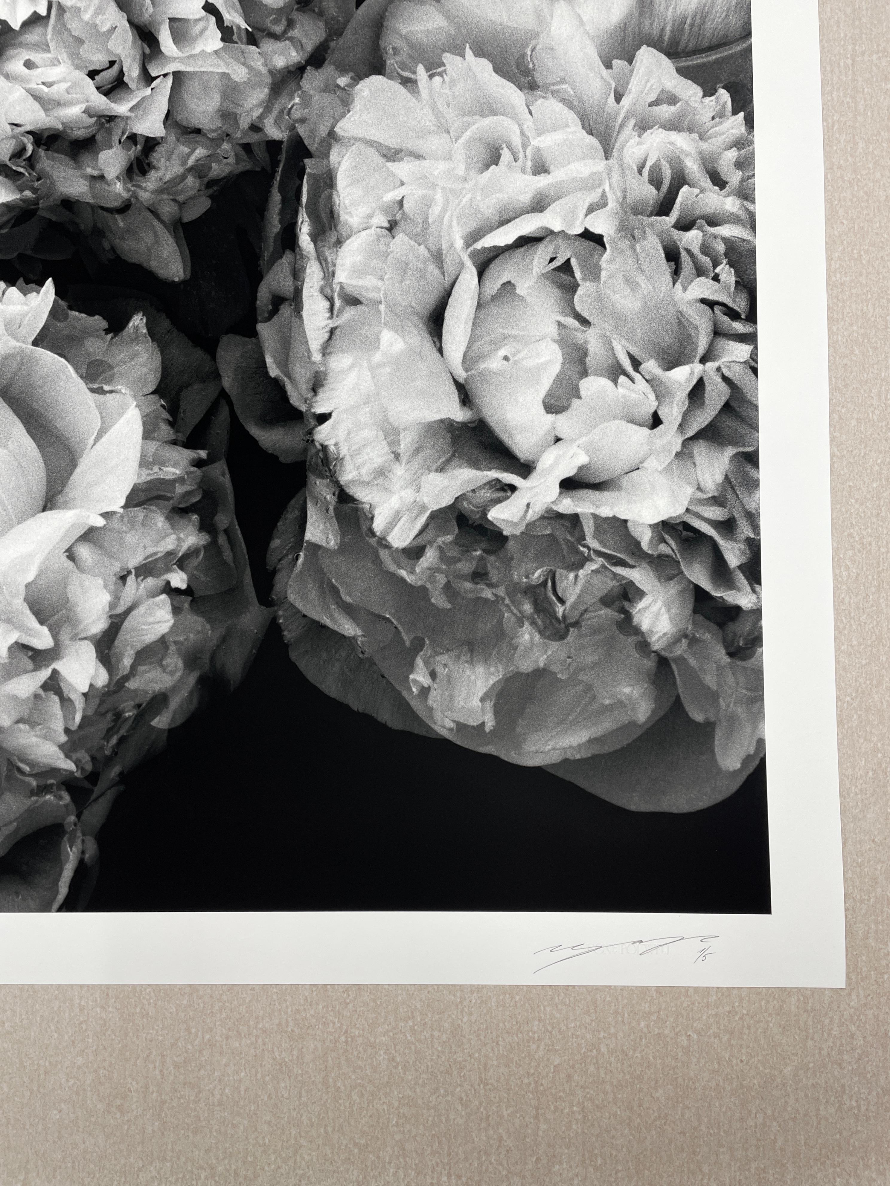 Pfingstrosen auf See - Blüten, Schwarz-Weiß-Fotografie, limitierte Auflage 2 von 5 Stück im Angebot 3