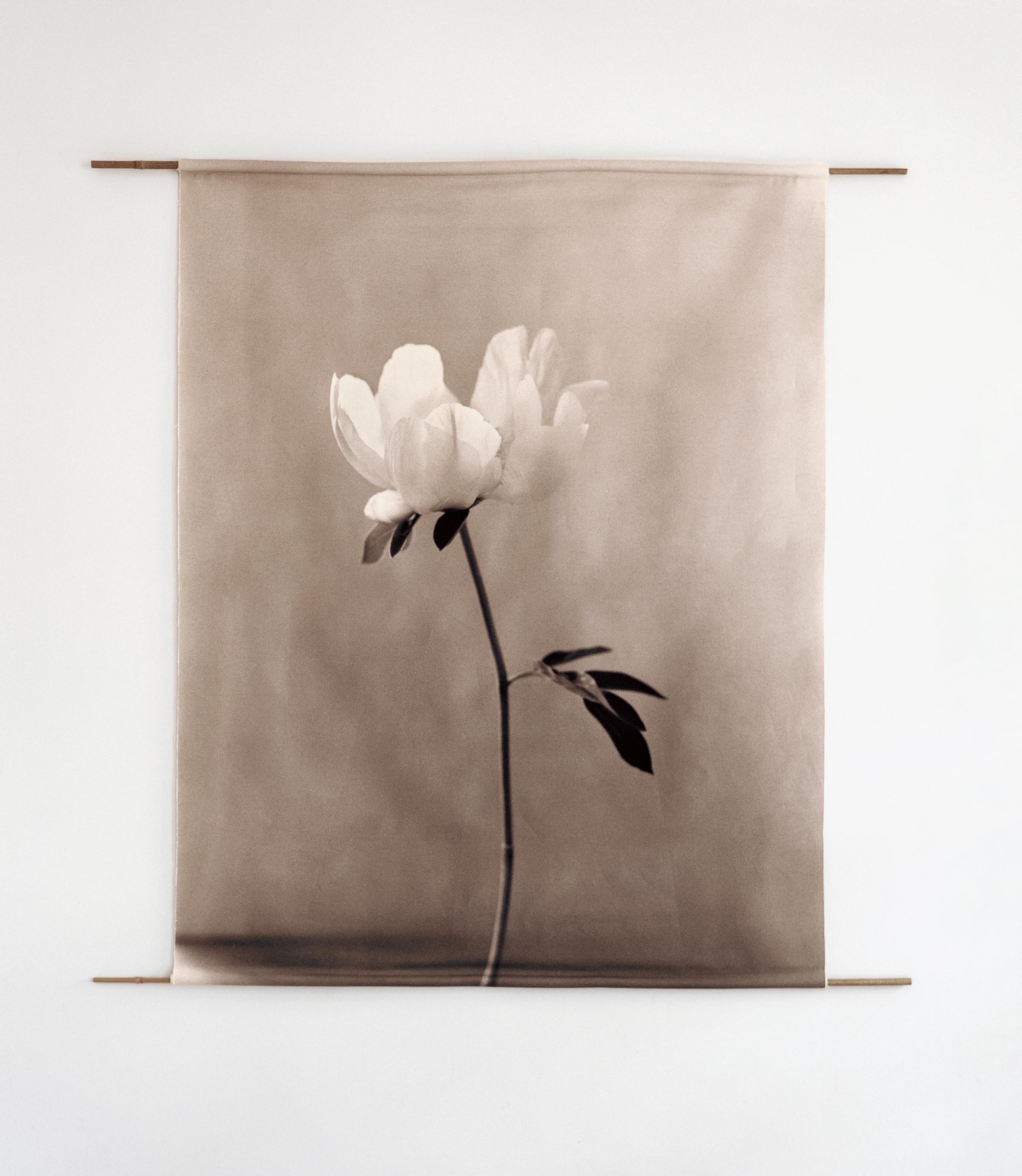 Black and White Photograph Ugne Pouwell - Pivoine - rouleau de toile de coton organique sur bambou, édition limitée à 4 exemplaires sur 5