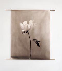 Peony - organic cotton canvas scroll on bamboo, limited edition 4 of 5