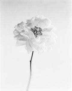 Fotografía en blanco y negro