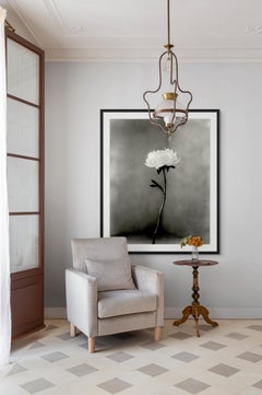 Peony No.15 - analogue floral photography, limited edition of 10