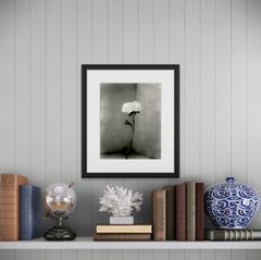 Peony No.15 - analogue floral photography, limited edition of 20