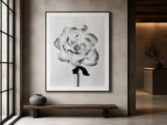 Peony No.17 - analoge Blumenfotografie, limitierte Auflage von 10 Stück